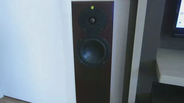 CEC 3300R  + TOTEM ARRO