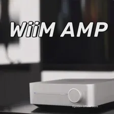 Многоканальный потоковый усилитель WiiM AMP с поддержкой AirPlay2, Chromecast, HDMI, Amazon Music, Tidaland и многого другого - Deep Sky Gray