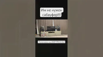 AMP PRO 6.5v3 им не нужен сабвуфер🫨🫨🫨 89833185315акустика #производство #колонки #diy #бас #amp