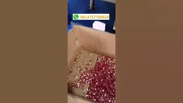 Terminal Assembly Machine for nylon insulated terminal lug ring spade pin type in China