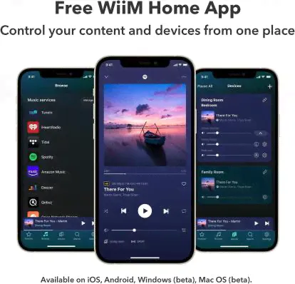 WiiM Amp: усилитель многокомнатной потоковой передачи с AirPlay 2, Chromecast - Яндекс музыка, HDMI и голосовым управлением | Стрим Spotify, Amazon Music, Tidal и многое другое | Пульт дистанционного -1