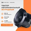 Акустика эстрадная AMP NEO TW20