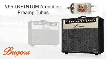V55 INFINIUM Amplifiers: Preamp Tubes