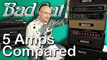 WHICH BAD CAT AMP IS FOR YOU?