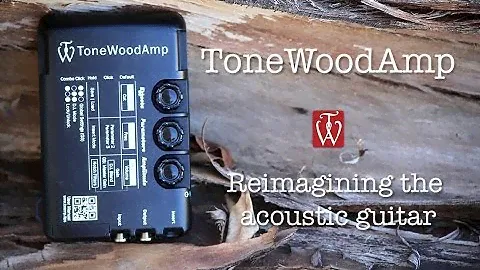 Introduction to the ToneWoodAmp
