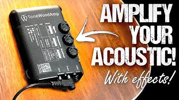 I Try The TONEWOOD Amp! This Thing is Crazy!