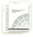 AMP Holding, Inc.: финансовый, SWOT, конкурентный и отраслевой анализ компании