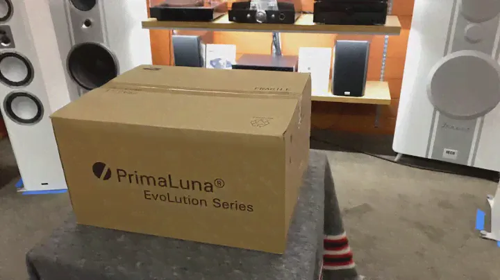 Unboxing PrimaLuna Evo 200 Tube Power Amplifier