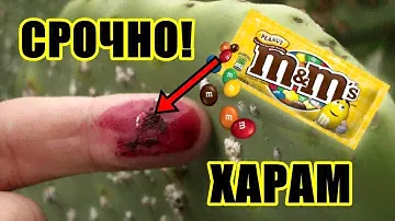 M&M's Признались в Харамности Своих Драже!