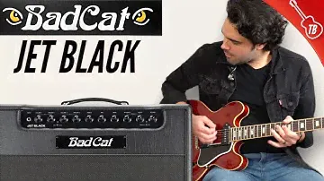 The Bad Cat Jet Black - My NEW Guitar Amp?!
