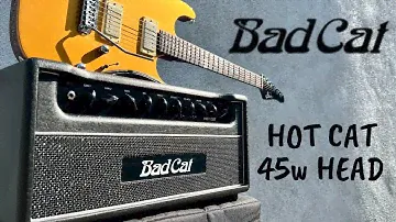 BAD CAT HOT CAT 45w EL34 2 CHANNEL ALL TUBE AMP