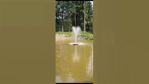 Ujuv purskkaev ja pump Jebao FJ-600